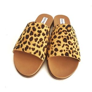 Steve Madden Karolyn in leopard calf hair. Brand new and never worn!